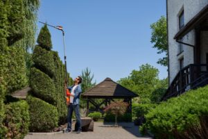 Landscaping